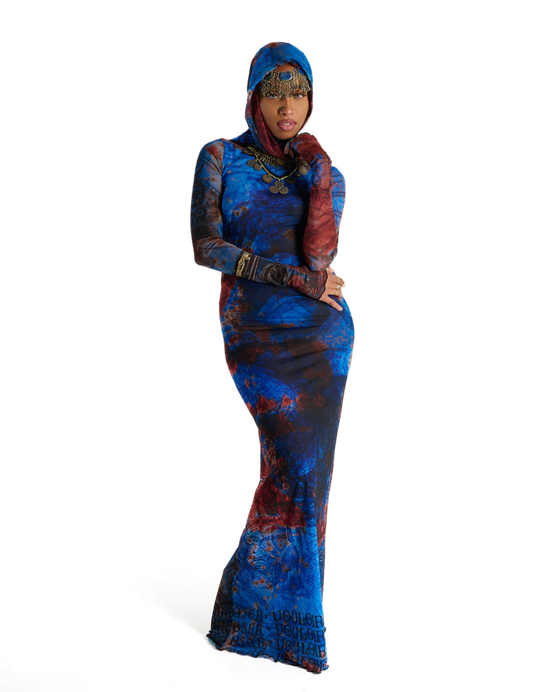 Printed sheer mesh long sleeve maxi dress with art graphic
